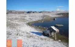 Gordigear Dachzelt Plus Für 3 Personen Mit Staufläche 165 X 320 Cm Grün -Zeltserien Laden 737357 4968542