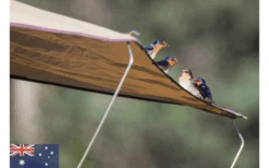 Gordigear Dachzelt 140 Plus Für 2 Personen Mit Vorzelt 140 X 320 Cm Grün -Zeltserien Laden 737393 4968680